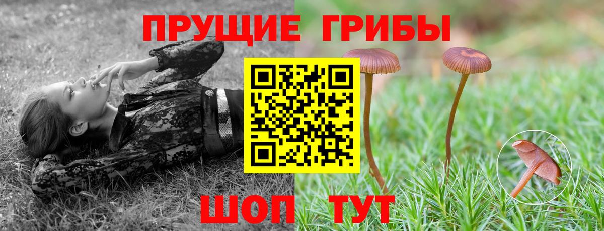 Галлюциногенные грибы MAGIC MUSHROOMS  Псилоцибиновые грибы Cubensis  Реутов  Вход с VPN 